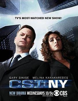 犯罪现场调查：纽约 第五季在线播放