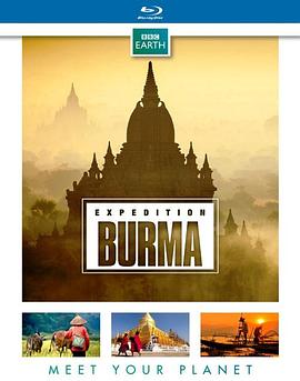 野性缅甸：失落的自然王国海报剧照