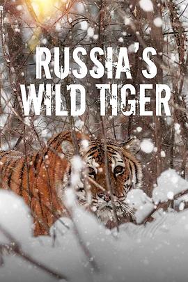 俄罗斯野生老虎在线播放