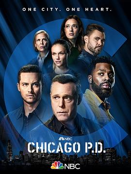 芝加哥警署第九季在线播放