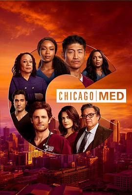 芝加哥急救第六季在线播放