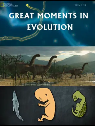 进化的伟大时刻
