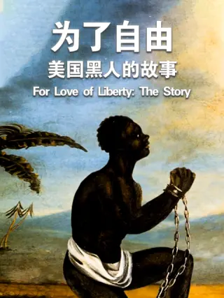 为了自由：美国黑人的故事的海报图片