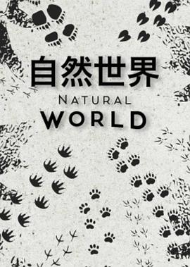 自然世界第一季在线播放