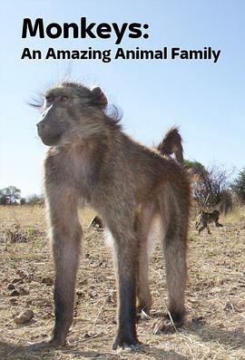 猴子：奇妙的动物家族在线播放