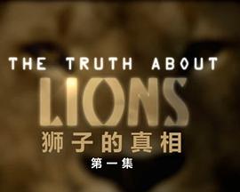 与地平线系列：狮子的真相相关得影视海报
