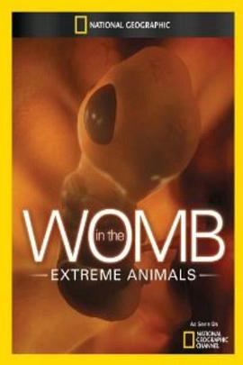 子宫日记：极端动物